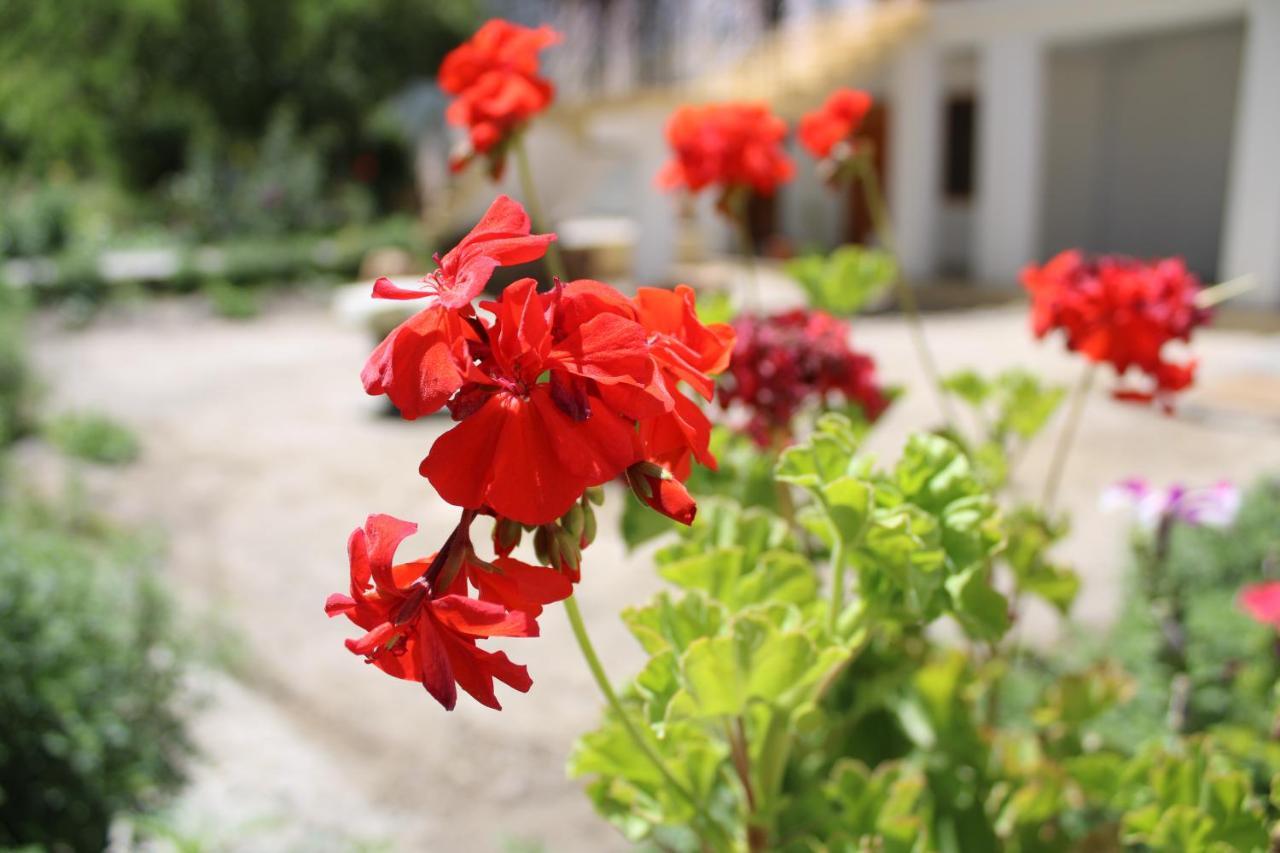 Sernang Homestay Hundar Экстерьер фото