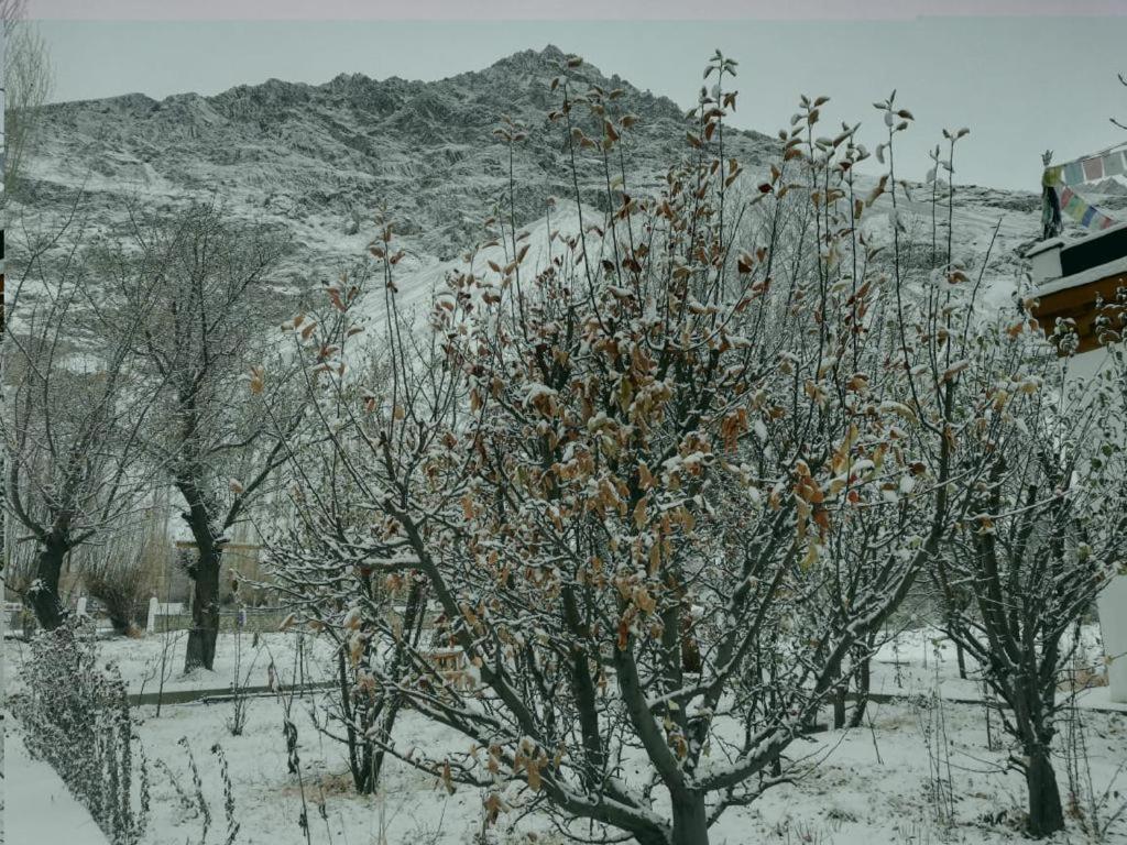 Sernang Homestay Hundar Экстерьер фото