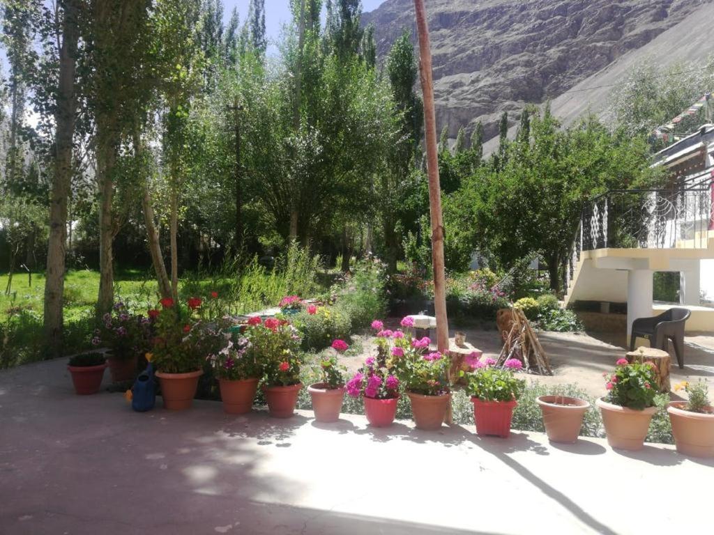 Sernang Homestay Hundar Экстерьер фото